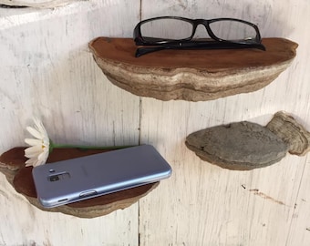 Set van 3 planken met berkenpoepen - Cottagecore Decor
