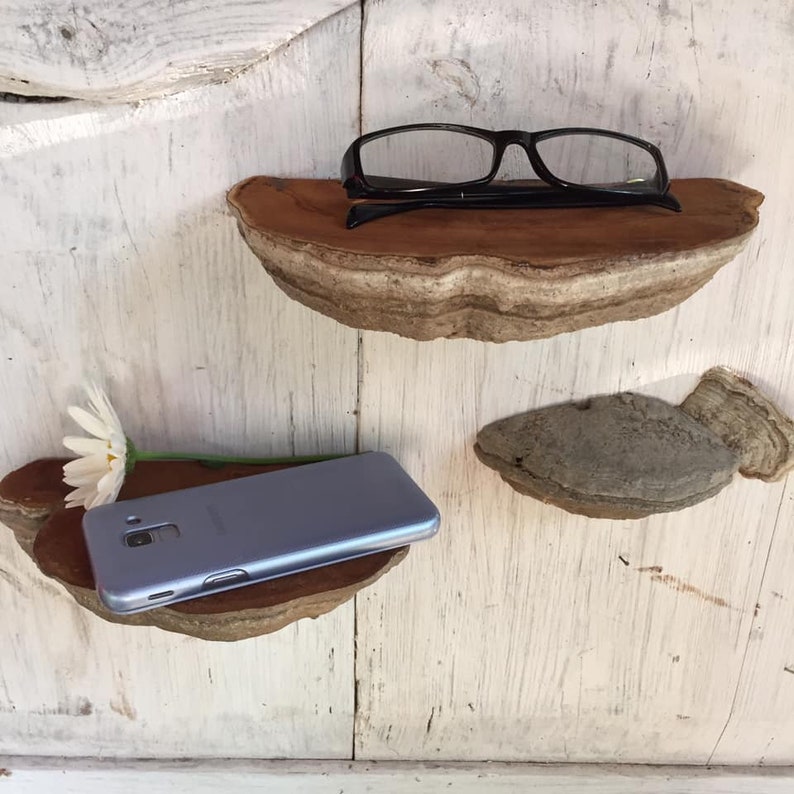 Puede incluir: Tres estantes de madera hechos de hongo de &aacute;rbol, montados en una pared blanca. El estante superior tiene un par de gafas negras encima. El estante del medio tiene un tel&eacute;fono inteligente morado encima. El estante inferior est&aacute; vac&iacute;o.