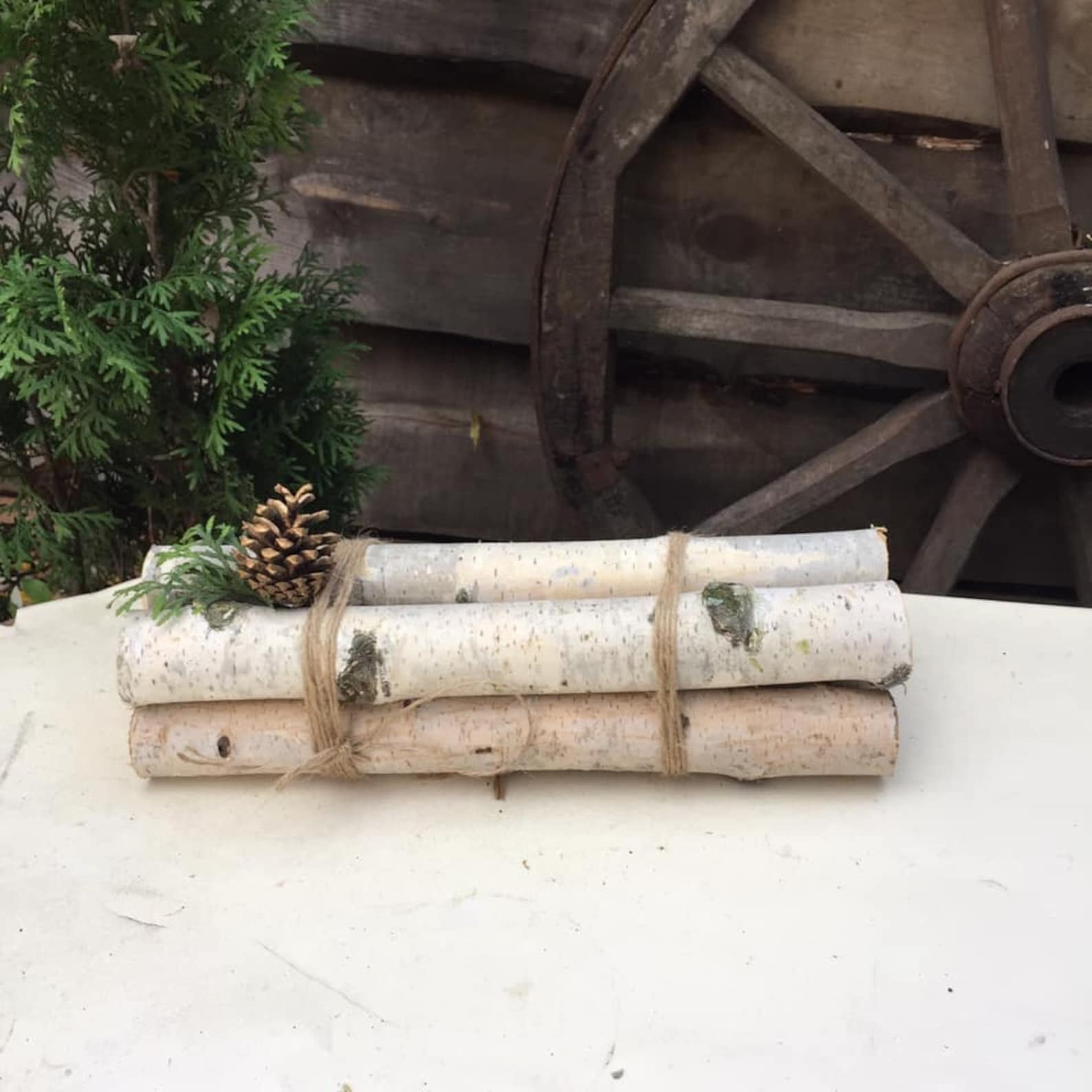 White birch Fireplace logs Cottagecore decor Birch Logs Set of Etsy