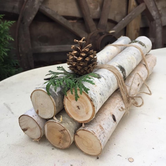 Christmas Birch Bundle White Birch Fireplace Logs - Etsy