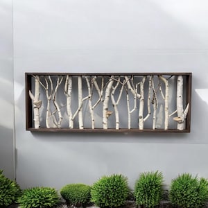 Art de la forêt enchantée étagère en bouleau blanc encadrée de bouleau art mural forêt