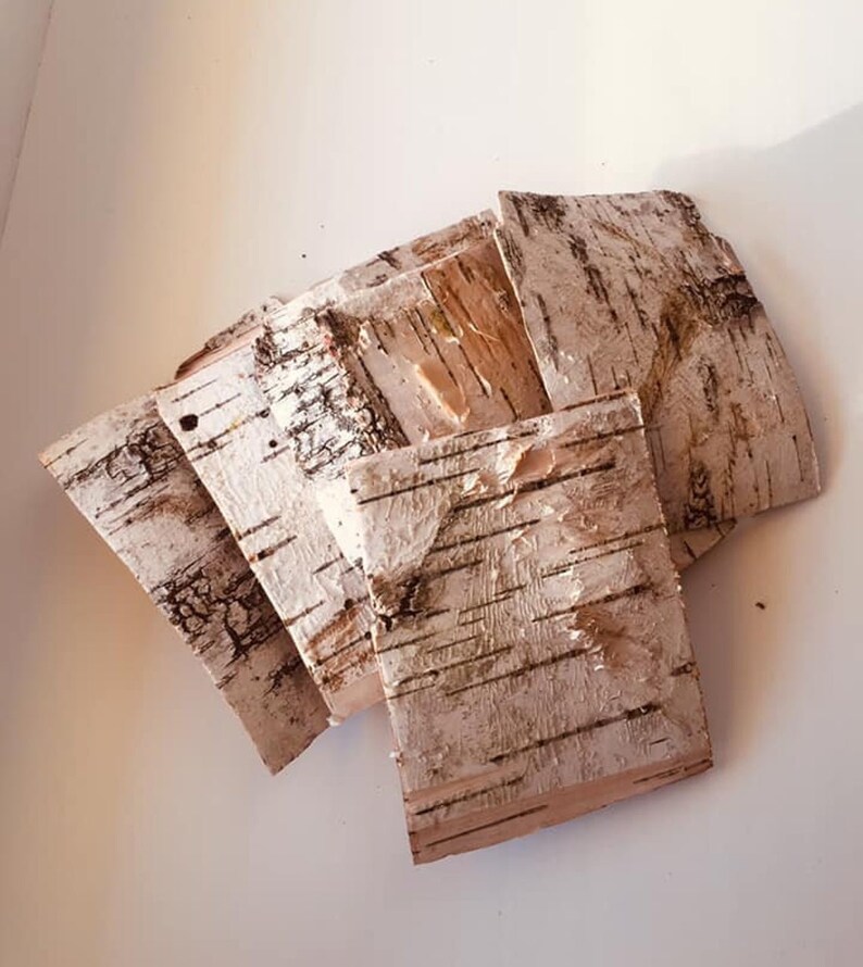 Birch Bark Sheets Birch crafts White birch Etsy