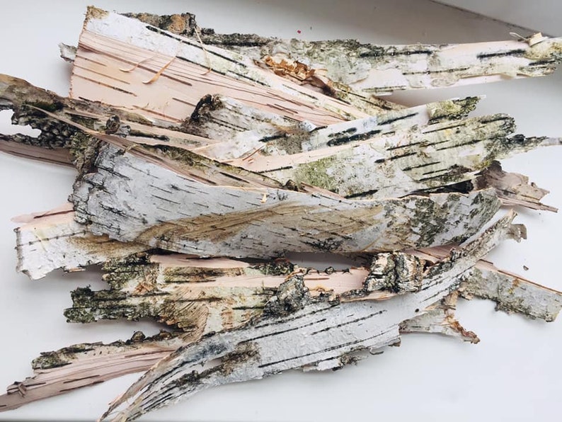 White birch bark sheets Craft supplies tree bark pieces Bark Etsy