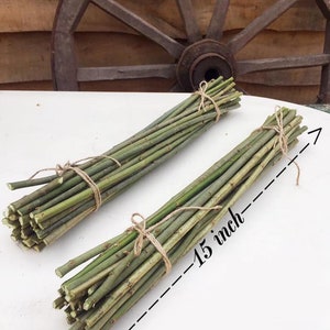 May include: Two bundles of green willow branches tied together with twine. The bundles are approximately 15 inches long.