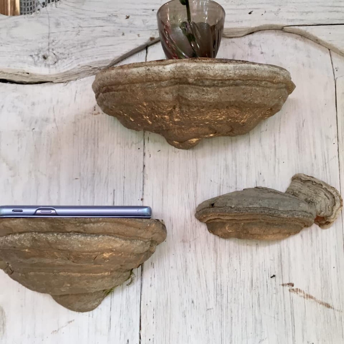 Set of 3 Mushroom Floating Shelves