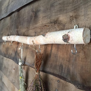 Birch coat rack Coat rack wall mount Tree Branch Hooks