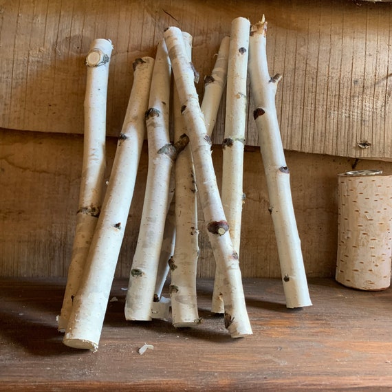 White Birch Logs 6 white birch logs, rustic craft supply, rustic