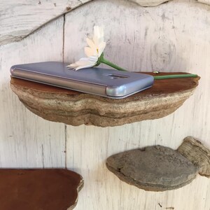 Puede incluir: Una funda de tel&eacute;fono gris se encuentra sobre una estanter&iacute;a de madera hecha de un hongo de &aacute;rbol. La estanter&iacute;a est&aacute; montada en una pared de madera blanca. Una flor blanca con un tallo verde descansa sobre la estanter&iacute;a.