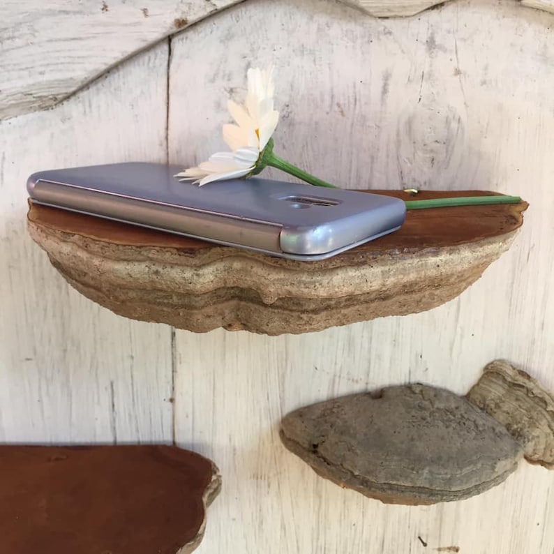 Puede incluir: Una funda de tel&eacute;fono gris se encuentra sobre una estanter&iacute;a de madera hecha de un hongo de &aacute;rbol. La estanter&iacute;a est&aacute; montada en una pared de madera blanca. Una flor blanca con un tallo verde descansa sobre la estanter&iacute;a.