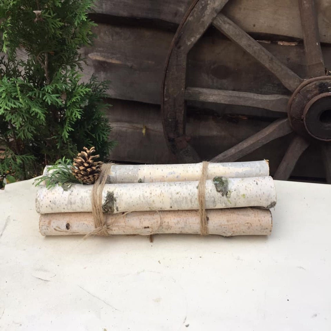 Northern Boughs White Birch Log Set for Fireplace