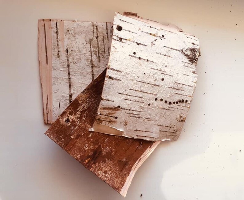Birch Bark Sheets Birch crafts White birch Etsy