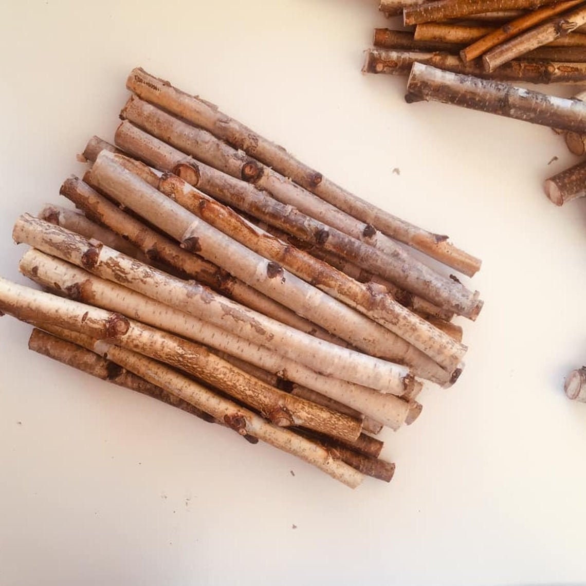 Birch branch Wood sticks birch Craft sticks White birch Etsy
