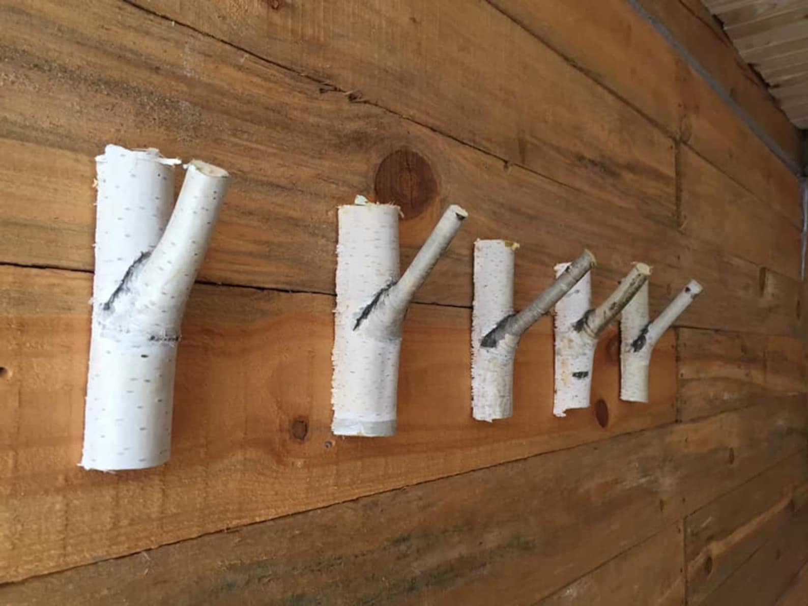 Set 5 Tree Branch Hooks White Birch wood hooks Etsy
