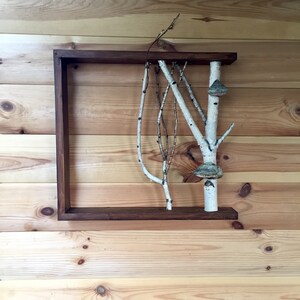 May include: A wooden frame with a white birch branch and twigs inside. The branch has two brown mushroom-like growths on it.