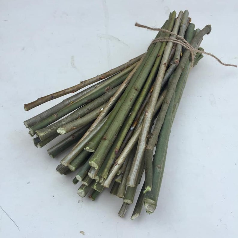 May include: A bundle of green and brown willow branches tied together with twine. The branches are about 12 inches long and are perfect for crafting.