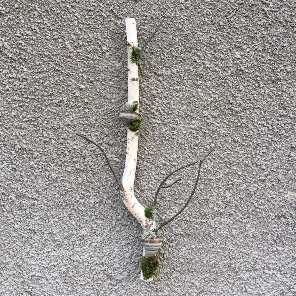 30birch Branch Wall Art White Birch Branches Cottagecore Etsy