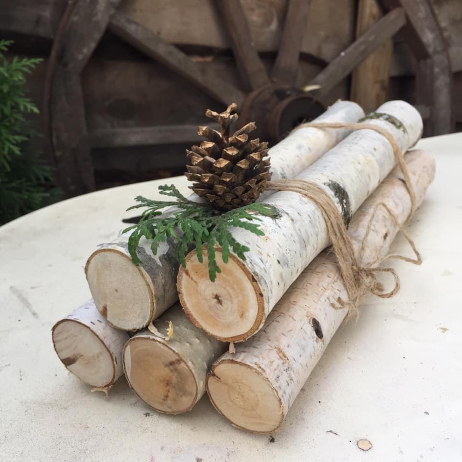 White birch Fireplace logs Cottagecore decor Birch Logs Set of Etsy