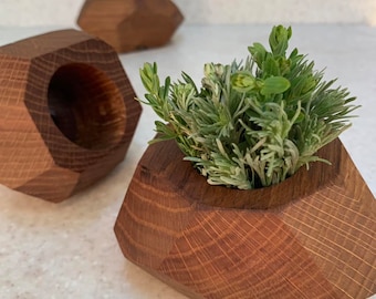 Luftpflanzenhalter Geometrischer Pflanztopf Umweltfreundliche Geschenke Sukkulententopf
