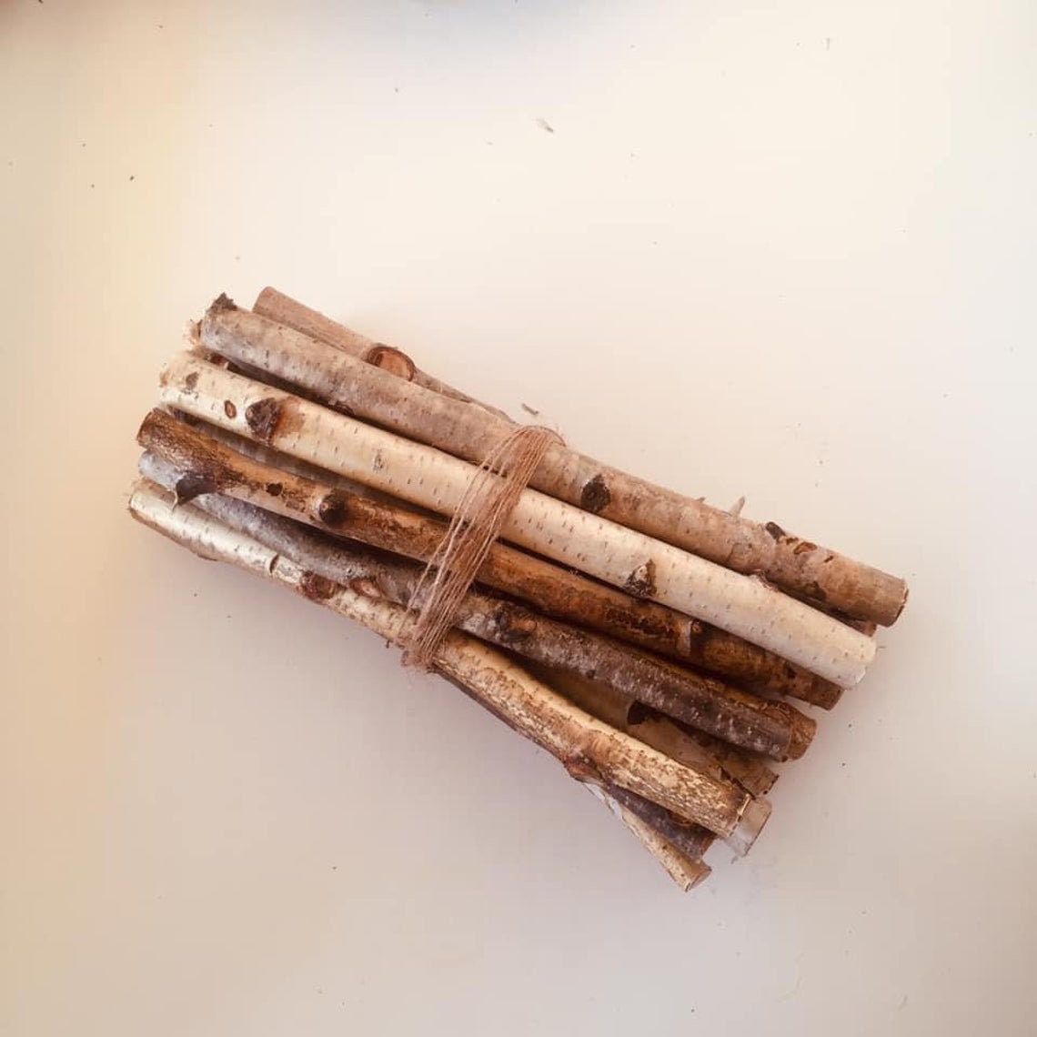 Birch branch Wood sticks birch Craft sticks White birch Etsy