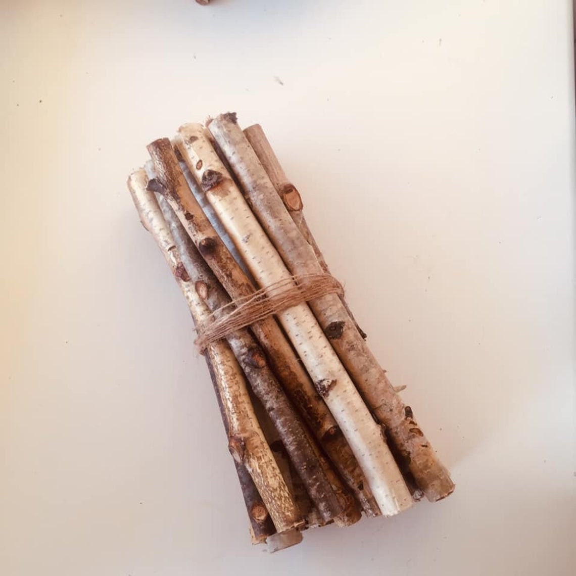 Birch branch Wood sticks birch Craft sticks White birch Etsy