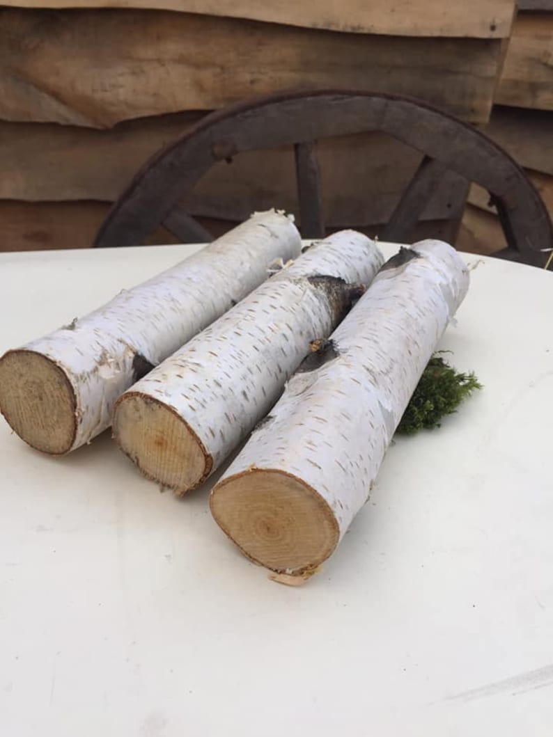 10 White birch branches logs White birch logs fireplace image 7