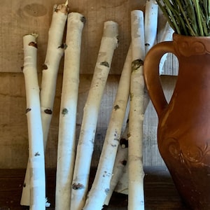 Birch branches White birch poles  Rustic birch decor