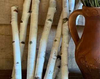 May include: A bunch of white birch branches with the bark peeled off, arranged in a vase. The vase is a brown earthenware pitcher with a decorative design.