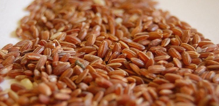 Red Rice , Navara Rice, Organic Rice, Shashtika Shali - Etsy