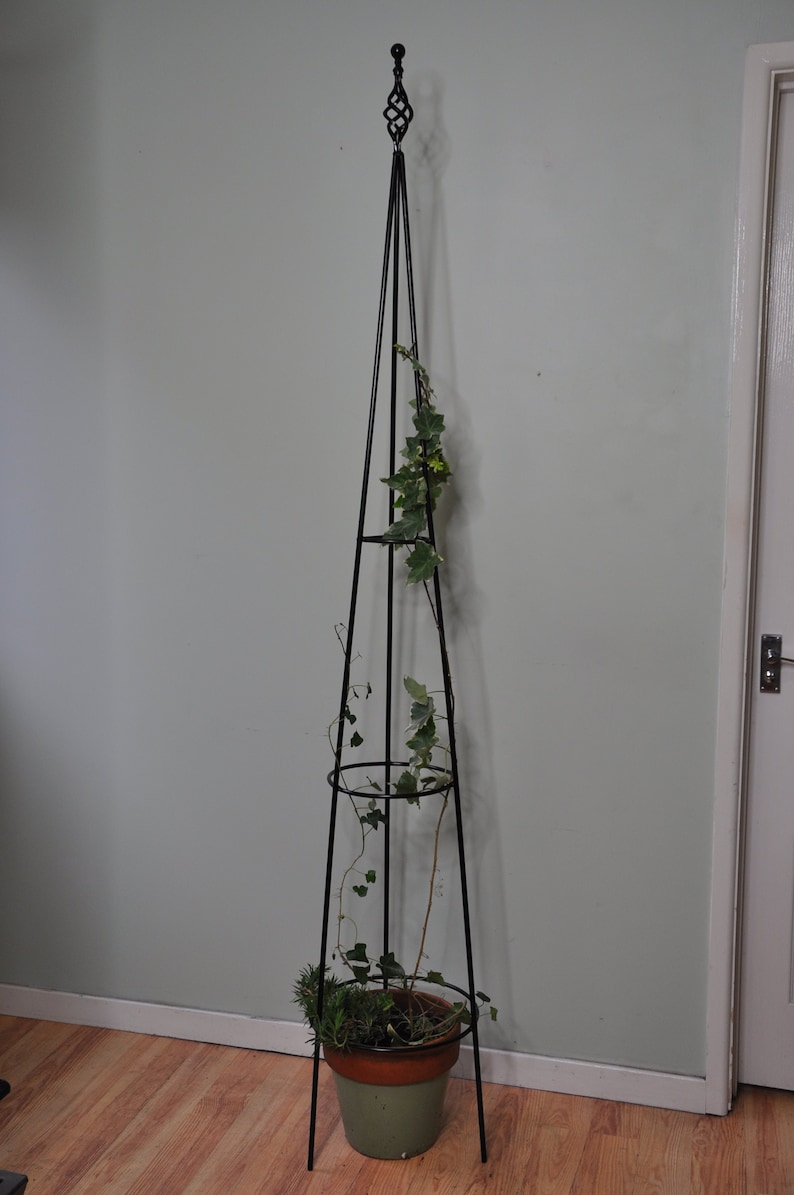 Puede incluir: Soporte para plantas de metal negro con tres niveles y un remate decorativo. Una planta en maceta con hojas verdes est&aacute; creciendo en el soporte.