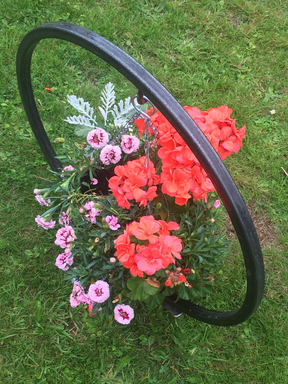 Hanging Basket Orbis Heavy Duty HookHanging Flower Etsy