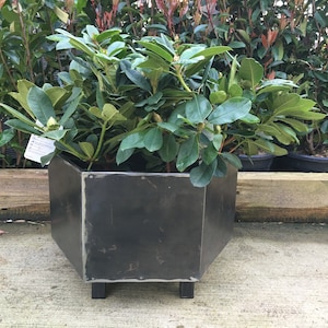 Könnte beinhalten: Ein dunkelgrauer sechseckiger Pflanzkasten mit vier Beinen aus Metall, mit einer grünen Pflanze darin. Der Pflanzkasten steht auf einer Holzoberfläche.