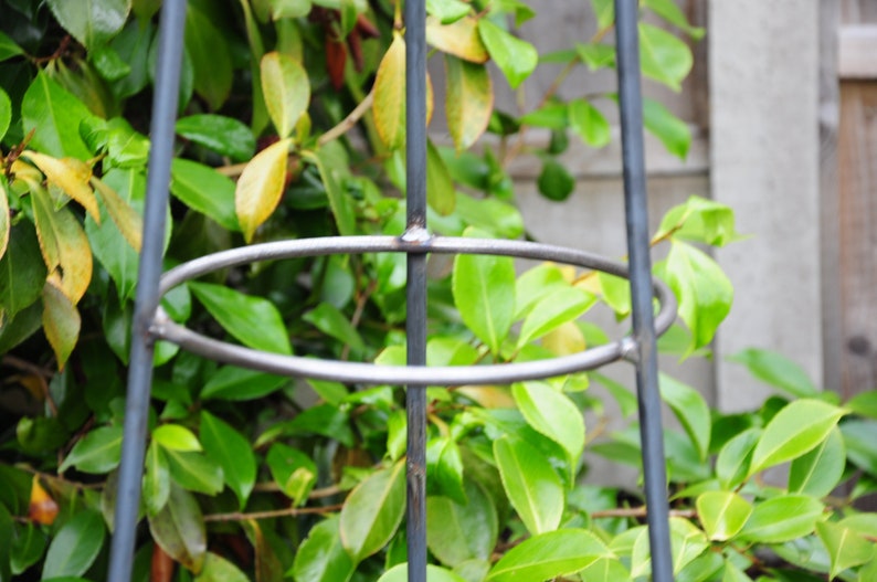 Puede incluir: Un soporte de planta de metal con tres anillos. El soporte est&aacute; hecho de metal negro y est&aacute; dise&ntilde;ado para ayudar a las plantas a crecer en posici&oacute;n vertical.
