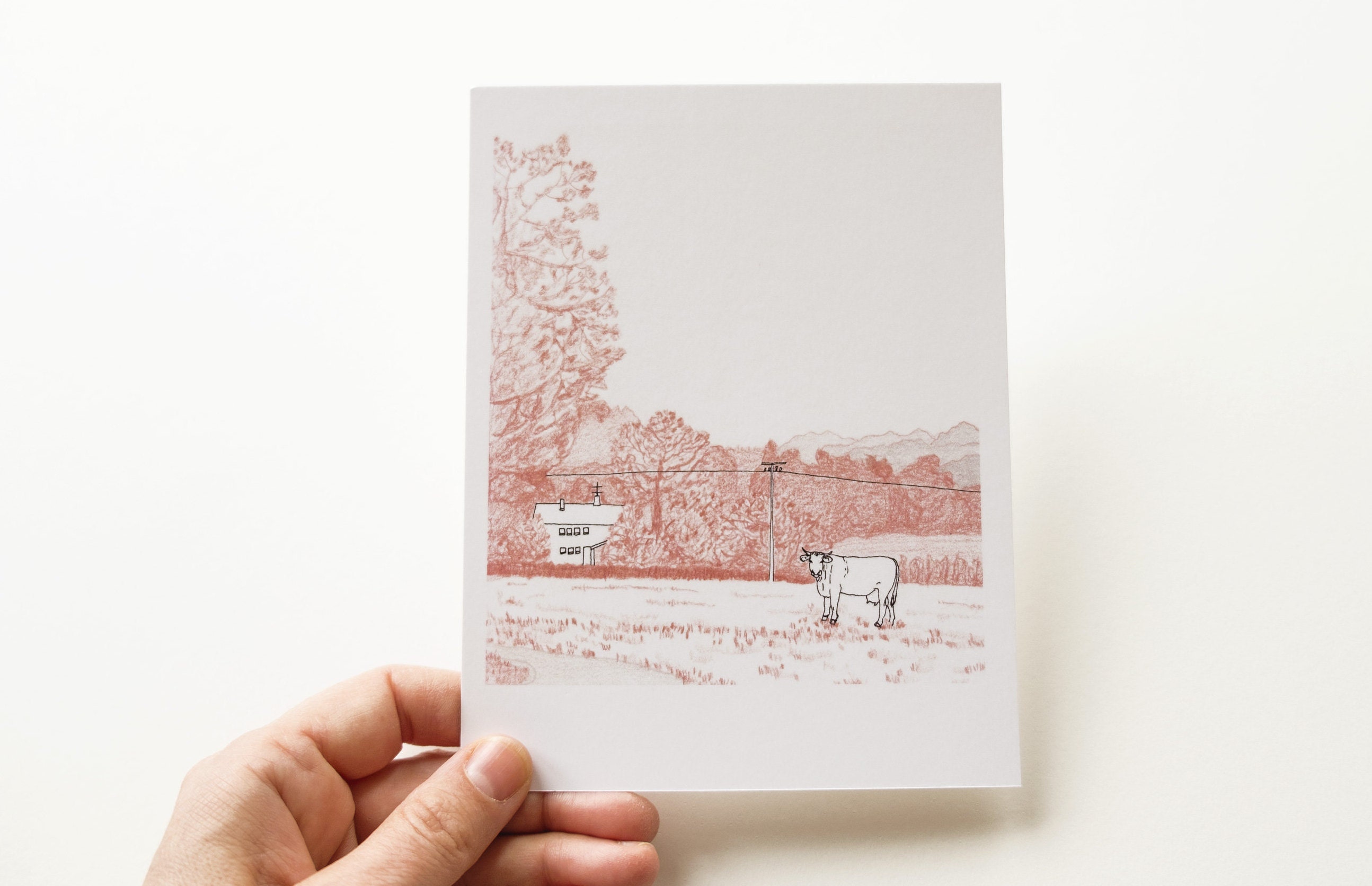 Postcard Art Card cow in the Landscape - Etsy