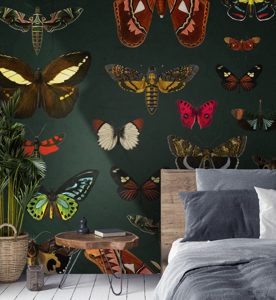 Butterfly Wallpaper Self Adhesive Peel And Stick Animal Wall Etsy Butterfly Wallpaper Self Adhesive Peel And Stick Animal Wall Etsy