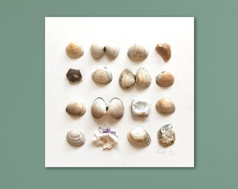 Picture, shell painting, beach art, amrum, shell art, beach finds, sea