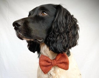 Pajarita para perros – Lana Herdwick, ropa sostenible y ecológica para perros
