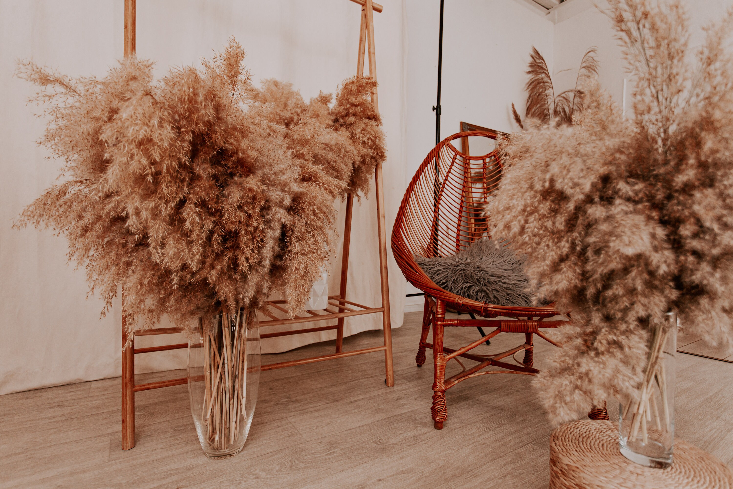 Extra Large Dried Pampas Grass Natural dried Pampas grass vase Etsy