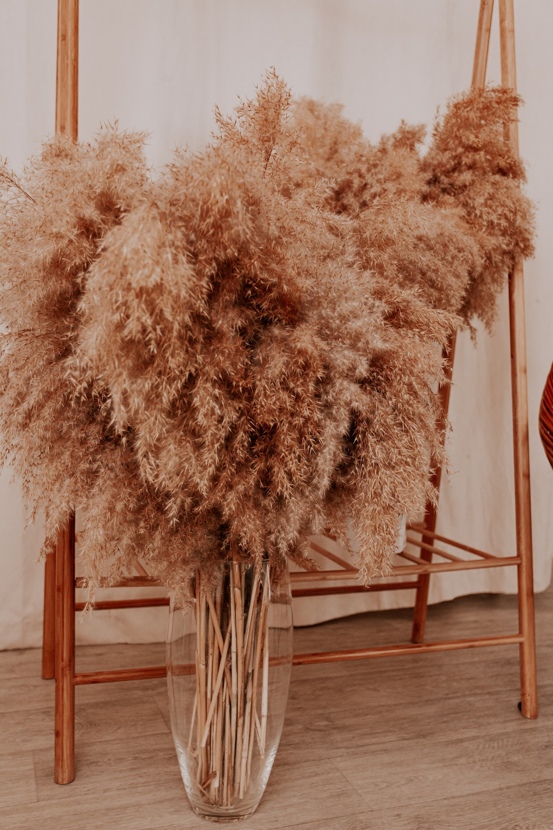 Extra Large Dried Pampas Grass Natural dried Pampas grass vase Etsy