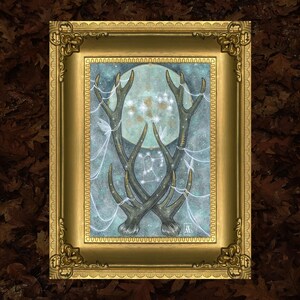 STARRY WOODS - Illustration A5 148 x 210 mm // Decoration - Printing - Reproduction