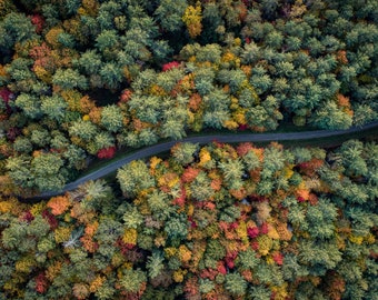 Vermont Aerial Photo - Forest Road in Foliage - Top Down Drone Print