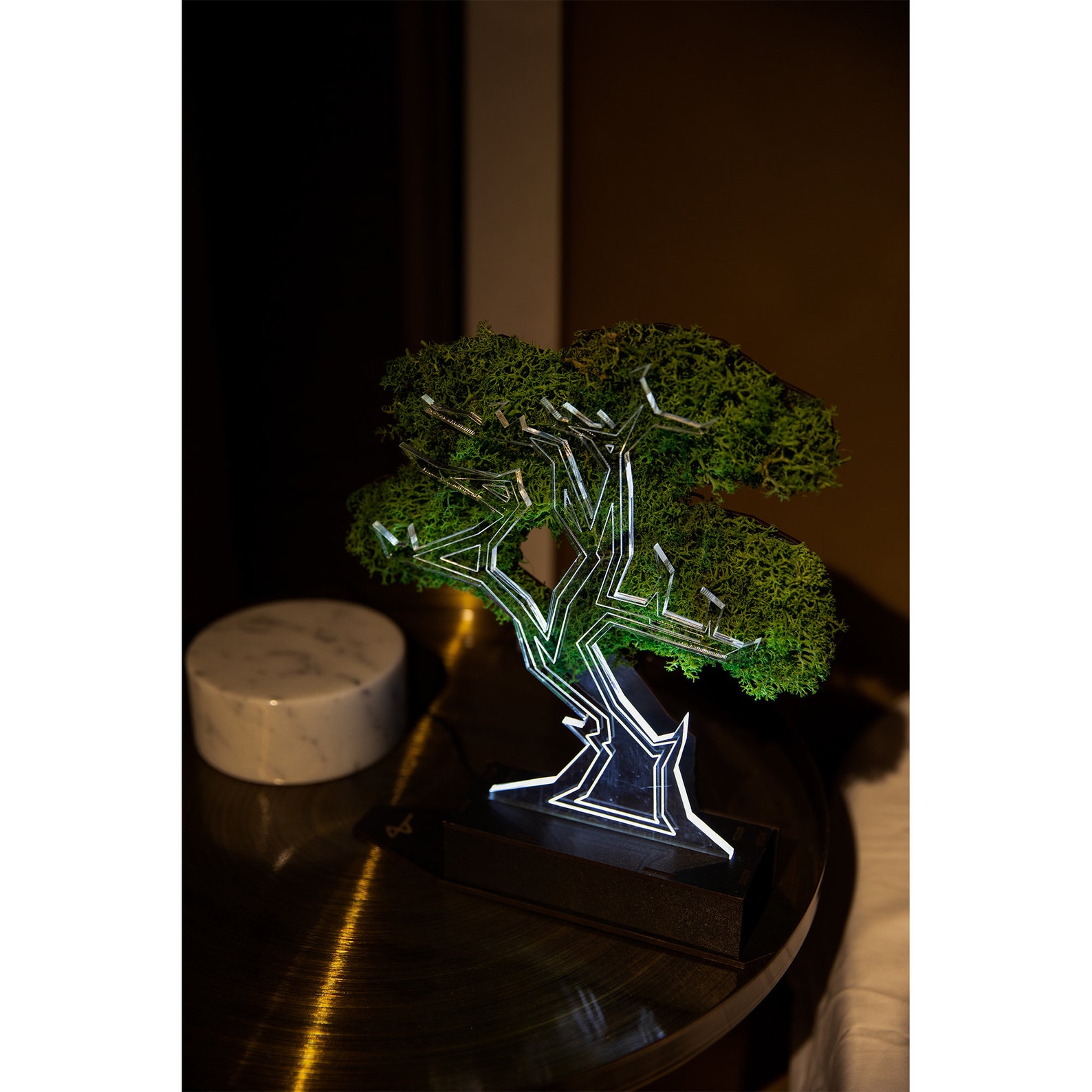 Bonsai Night Light Tree Aesthetic Led Fairy Tree Lamp Etsy