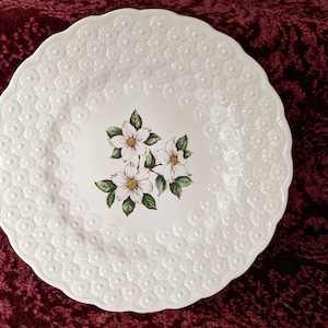 Vintage Copeland Spode 9&quot; Plate B.C. Dogwood