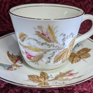 Antique Teacup and Saucer Bone China England Hand Painted Moss Roses Butterflies