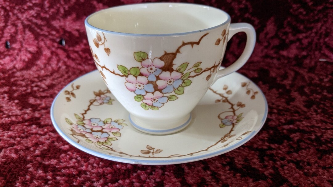 Vintage Old Royal Teacup and Saucer Bone China England Pink/blue Floral
