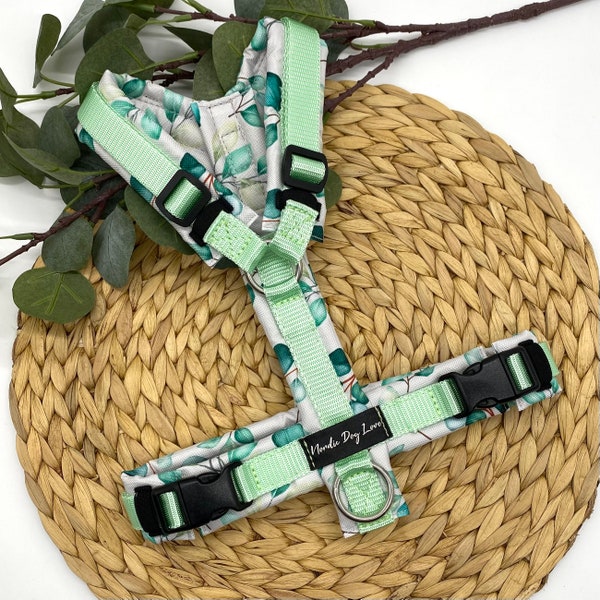 Lead harness, dog harness, Y-harness, dog harness in a trendy eucalyptus look, choice of colors possible