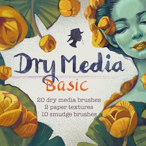20 Dry Media Basic Pinsel für Procreate