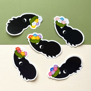 Beetle Pride - Autocollant brillant fait à la main Rainbow/LGBTQ+ Bug