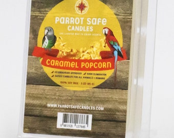Caramel Popcorn Wax Melt