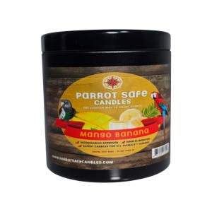 Mango Banana Scented Candle or Wax Melt
