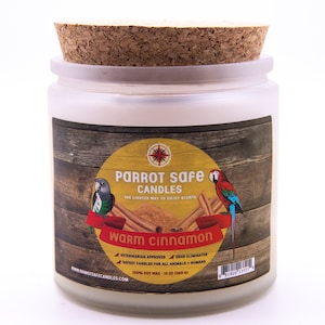 Warm Cinnamon Candle